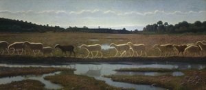 Le miroir de la vie