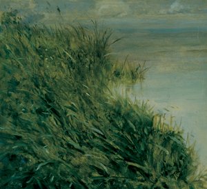 Étude de marais - Giuseppe or Joseph de Nittis