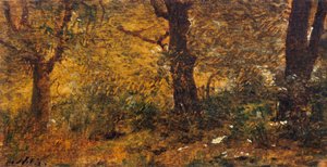 Étude de bois - Giuseppe or Joseph de Nittis