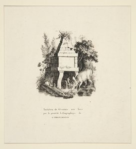 Cerf buvant