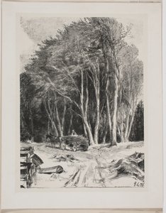 Abattage de bois