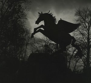 Statue de Pégase dans les jardins de Mirabell - Godfrey Macdominic