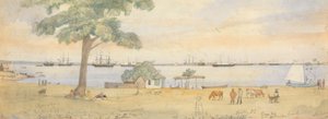 Greytown - Godfrey Thomas Vigne