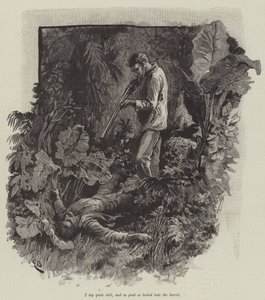 Uma, ou la plage de Falesa, par Robert Louis Stevenson - Gordon Frederick Browne