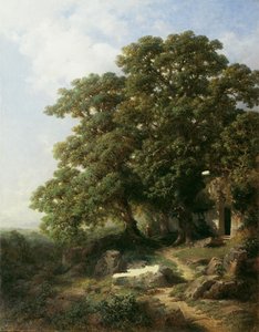 Châtaignes au Tyrol du Sud - Gottfried Seelos