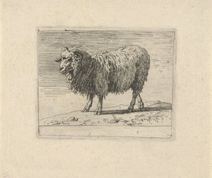 Bélier (Diverse animaux)
