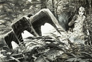 Survival : Perdu dans la jungle