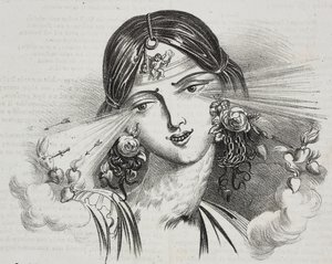 Beauté féminine, caricature de Jean-Jacques Grandville (1803-1847), lithographie de Gaetano Riccio de Poliorama Pittoresco, n 20, 24 décembre - Grandville