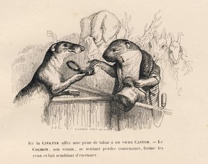 Une civette offre une prise de tabac à un vieux castor, le cochon derrière lui tente de se contenir (Résumé parlementaire) - Grandville