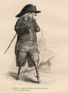 Coq invalide devant l