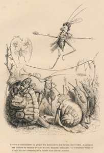 Criquet jouant de la trompette devant une tortue, un escargot et des limaces. Au-dessus de lui, un autre criquet équilibriste marche sur un fil. Vignettes illustrées par JJ Granville. Gravure signée Godard dans la partie intitulée "Les aventures d