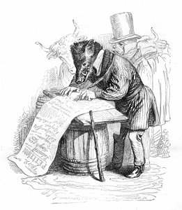 Gravure de Grandville extraite du livre « Vie privée et publique des animaux (Les animaux peints par eux-mêmes) », édition Hetzel 1867 - Caricature : sanglier écrivant une pétition. - Grandville (1803 47)