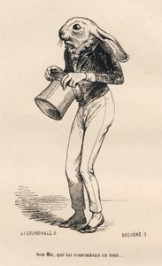 Lievre peureux en costume de dandy (Histoire d
