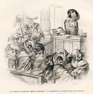 Perroquet éloquent - Grandville