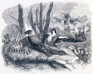 Philomèle et Progne - Fables de La Fontaine - Grandville