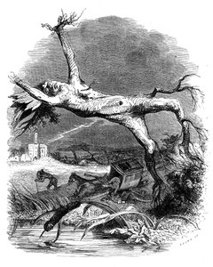 Le chêne et le roseau : fable de La Fontaine - Grandville (1803 47)