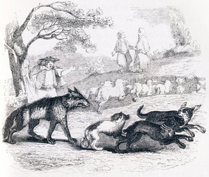 Le bassa et le marchand - Fables de La Fontaine - Grandville