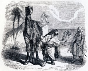 Le chameau et les bâtons flottants - Fables de La Fontaine
