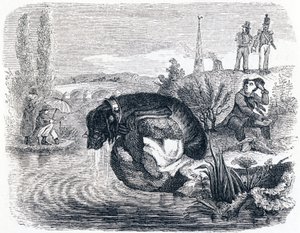 Le chien qui abandonne sa proie pour son ombre - Fables de La Fontaine - Grandville