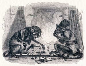 Le singe et le chat - Fables de La Fontaine