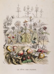 La fête des fleurs - Grandville