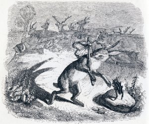 Les oreilles du lièvre - Fables de La Fontaine - Grandville