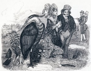 Le héron - Fables de La Fontaine - Grandville