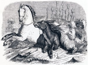 Le cheval et l