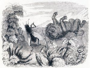 Le lion et le moucheron - Fables de La Fontaine - Grandville