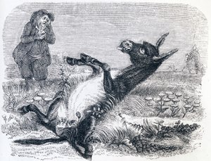 Le vieillard et l
