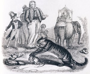 Le rat et l