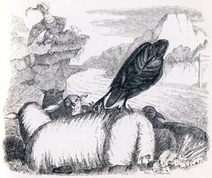 Le corbeau voulant imiter l