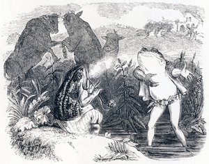 Les deux taureaux et une grenouille - Fables de La Fontaine