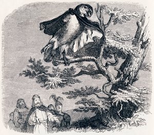 Les deux perroquets, le roi et son fils - Fables de La Fontaine - Grandville