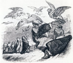 Les vautours et les pigeons - Fables de La Fontaine - Grandville