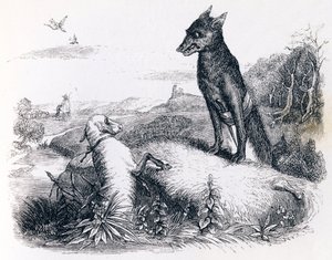 Le loup et l