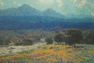 Champ de coquelicots en Californie