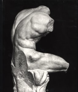Torso du Belvédère (marbre) (photo n/b)