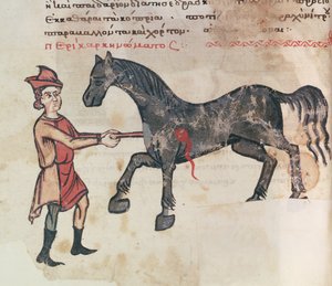 Ms Grec 2244 fol.37v Opération sur un cheval - Greek School