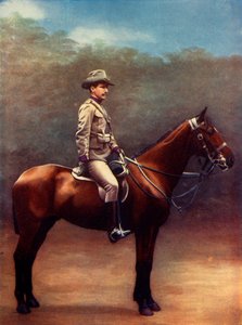 Officier des Victoria Mounted Rifles, 1901