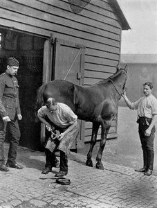 Le maréchal-ferrant-major de la Garde royale à cheval, 1896