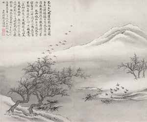 Oiseaux sur la berge