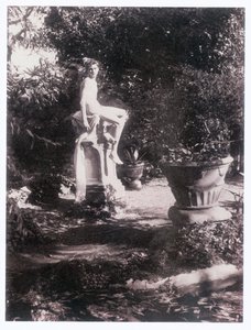 Photographe (photo) - Guglielmo (1852 1930) Plüschow