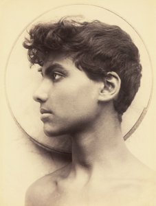 Image inconnue - Guglielmo Plüschow