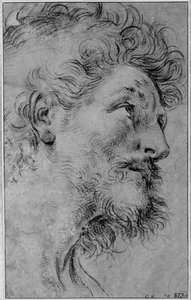 Tête de saint Crispin - Guido Reni
