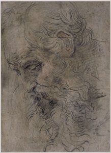 Tête de saint Paul ermite - Guido Reni