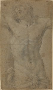 Torse du Christ en croix - Guido Reni