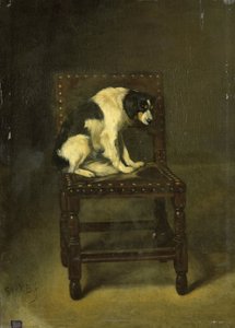 Un chien sur une chaise - Guillaume Anne van der Brugghen