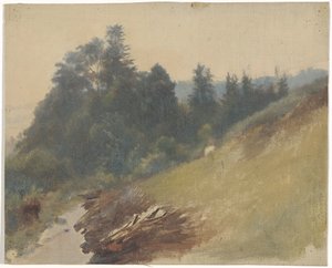 Pente de montagne avec des pins