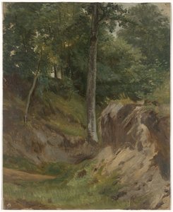 Ruisseau asséché dans la forêt - Guillaume Anne van der Brugghen